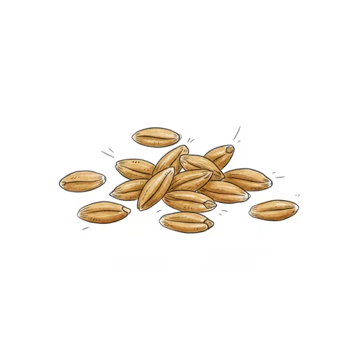 wheat berries