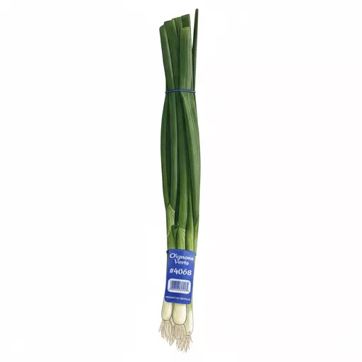 scallion