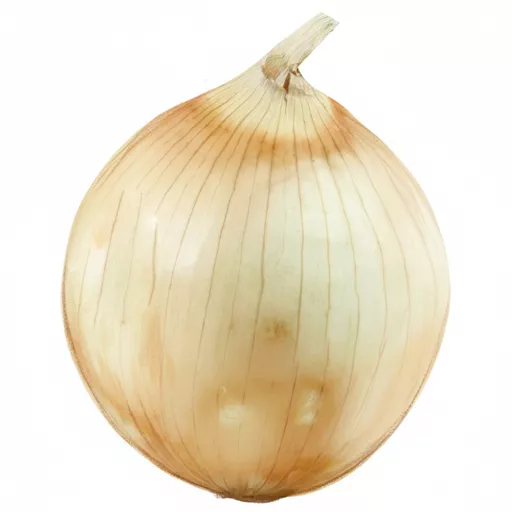 sweet onion
