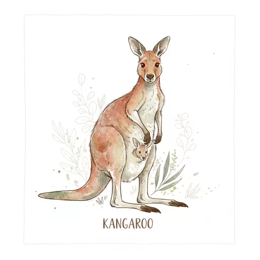 kangaroo