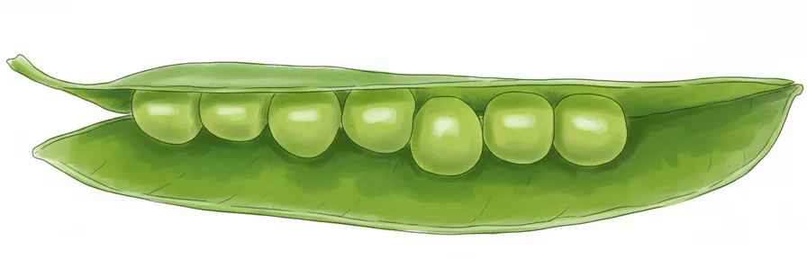 snap peas