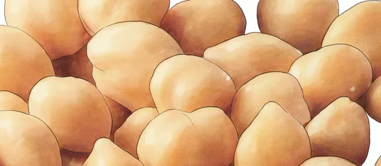 garbanzo beans